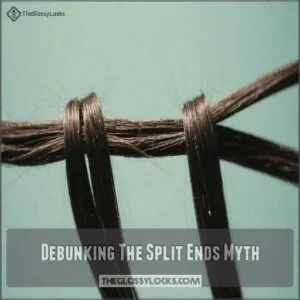 Debunking The Split Ends Myth Debunking The Split Ends Myth