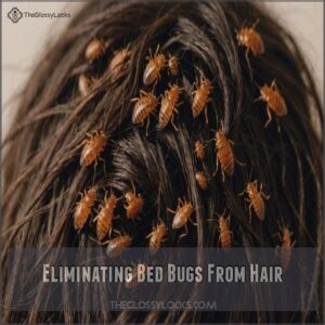 Eliminating Bed Bugs From Hair