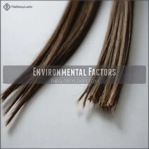 Environmental Factors