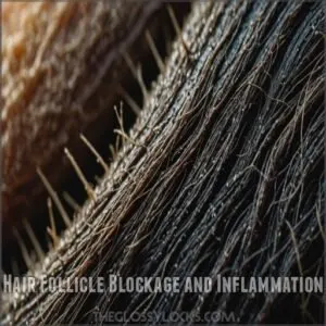 Hair Follicle Blockage and Inflammation