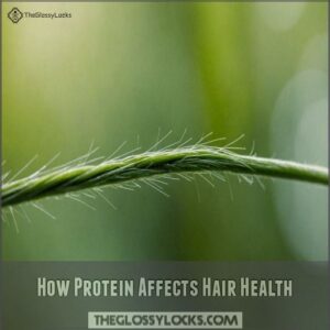 How Protein Affects Hair Health