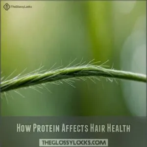 How Protein Affects Hair Health