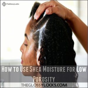 How to Use Shea Moisture for Low Porosity