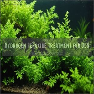 Hydrogen Peroxide Treatment for BBA