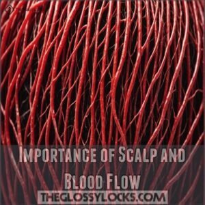 Importance of Scalp and Blood Flow