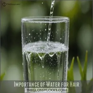 Importance of Water for Hair