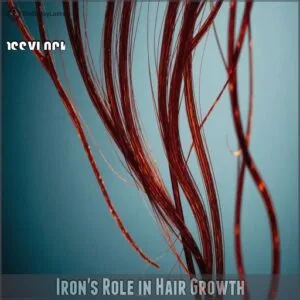Iron's Role in Hair Growth
