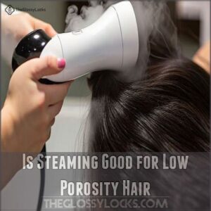 is steaming good for low porosity hair is steaming good for low porosity hair