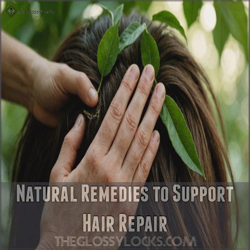 Natural Remedies to Support Hair Repair