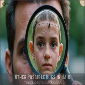 Other Possible Bugs in Hair Other Possible Bugs in Hair