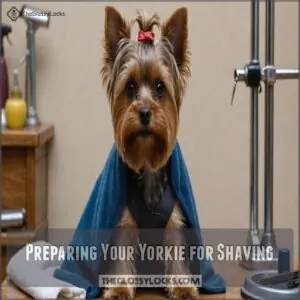 Preparing Your Yorkie for Shaving Preparing Your Yorkie for Shaving