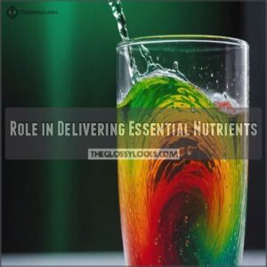 Role in Delivering Essential Nutrients