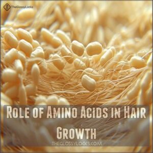 Role of Amino Acids in Hair Growth