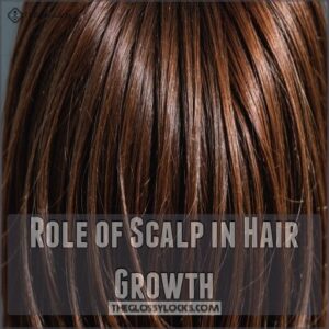 Role of Scalp in Hair Growth