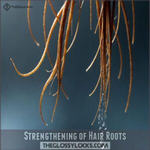 Strengthening of Hair Roots