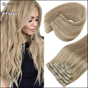 Sunny Clip in Hair Extensions