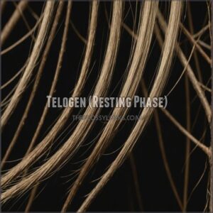 Telogen (Resting Phase)