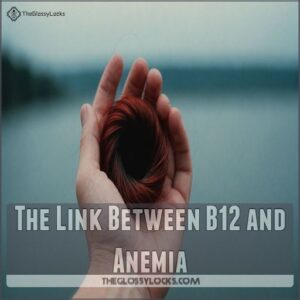 The Link Between B12 and Anemia