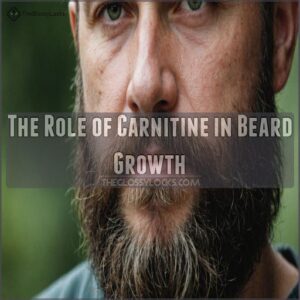 The Role of Carnitine in Beard Growth