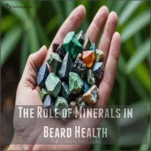 The Role of Minerals in Beard Health