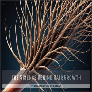 The Science Behind Hair Growth