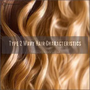 Type 2 Wavy Hair Characteristics