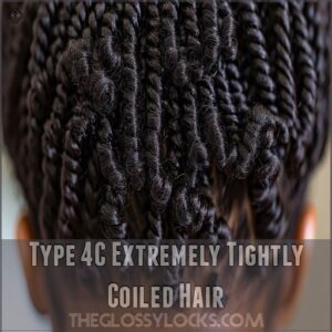 Type 4C Extremely Tightly Coiled Hair