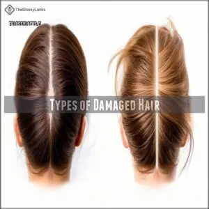 Types of Damaged Hair