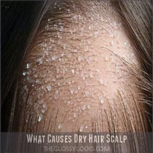 What Causes Dry Hair Scalp