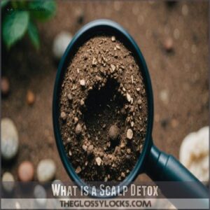 What is a Scalp Detox