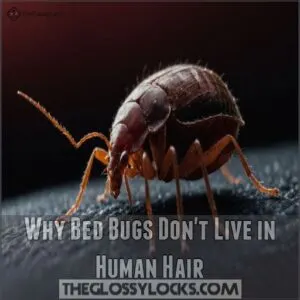 Why Bed Bugs Don