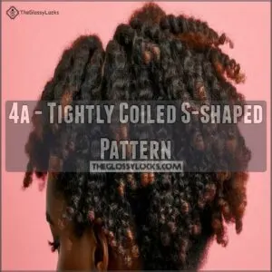 4a - Tightly Coiled S-shaped Pattern