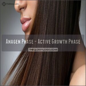 Anagen Phase – Active Growth Phase