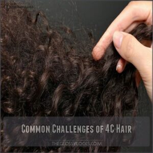 Common Challenges of 4C Hair