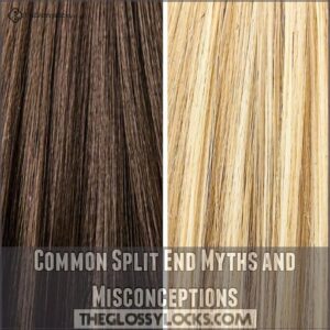 Common Split End Myths and Misconceptions