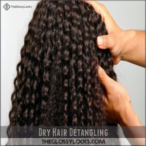 Dry Hair Detangling