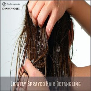 Lightly Sprayed Hair Detangling