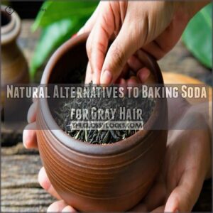 Natural Alternatives to Baking Soda for Gray Hair