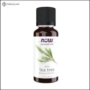 NOW Essential Oils, Tea Tree