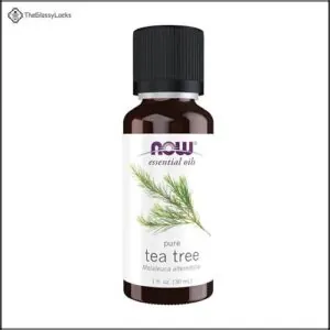 NOW Essential Oils, Tea Tree B0014UFXCA