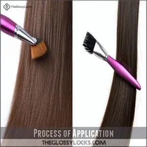 Process of Application