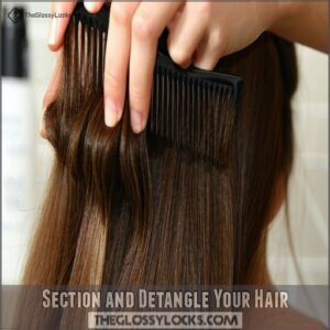 Section and Detangle Your Hair