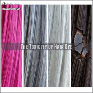 The Toxicity of Hair Dye