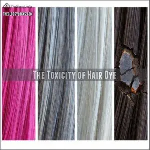 The Toxicity of Hair Dye