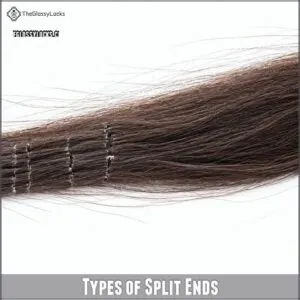 Types of Split Ends