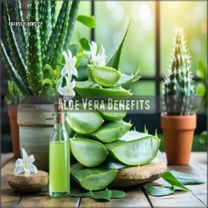 Aloe Vera Benefits