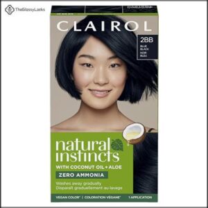 Clairol Natural Instincts Demi-Permanent Hair