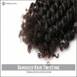 Damaged Hair Twisting Damaged Hair Twisting