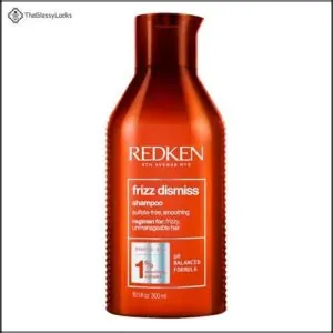 Redken Frizz Dismiss Shampoo | B08SSCH7YS