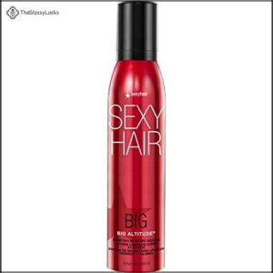 SexyHair Big Altitude Bodifying Blow